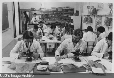 Estudiants fent pràctiques amb microscopis. [Photograph]